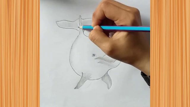 How to Draw Dolphin Video with pencil,pencil sketch drawing,sketch drawing,girl drawing,drawing cha смотреть онлайн