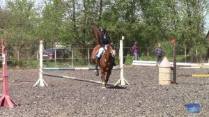 Первенство города Пскова по конному спорту (конкур).