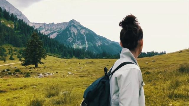 Альпийские коровы // Треккинг в горах смотреть онлайн