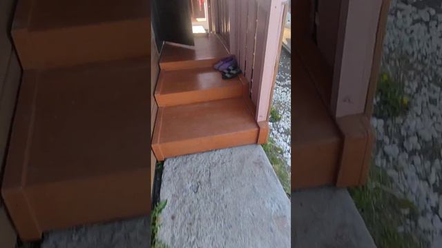 Дом на Байкале в с. Выдрино за 3 650 000 руб. #КупитьДомНаБайкале смотреть онлайн