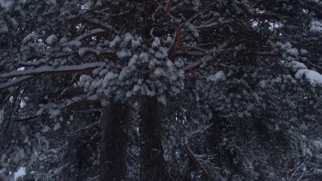 «Снег за окном», Дмитрий Григорьев, Dmitry Grigoryev, Snow behind the window смотреть онлайн