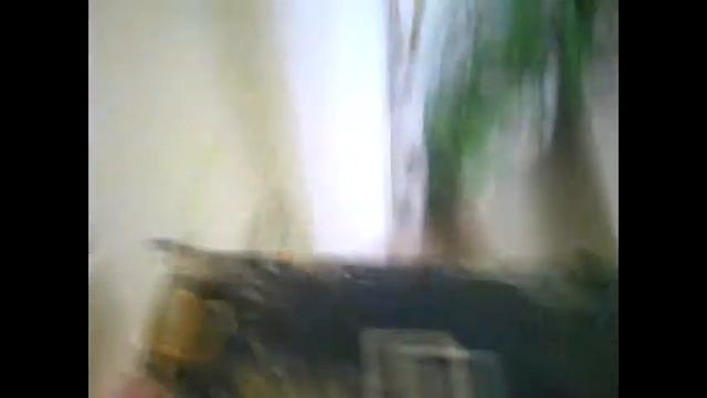 asus 8800gt in oven смотреть онлайн