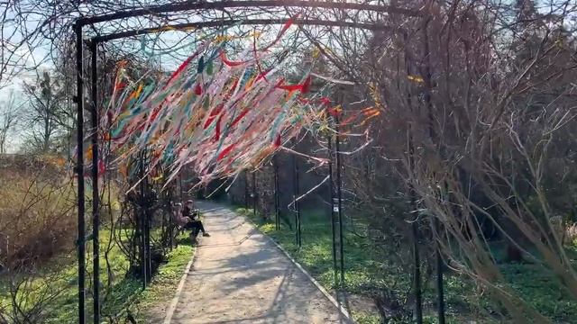 Одно из самых красивых мест Калининграда. Ботанический сад / Всё цветёт смотреть онлайн