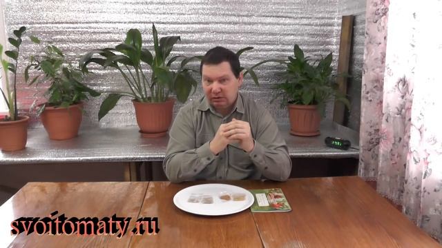 От чего зависят сроки посева семян рассадных культур смотреть онлайн