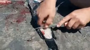 Чистим Змееголова   .