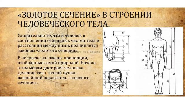 Гармония и красота в золотом сечении Калашникова Ирина, Ружьёва Алина, ЧЭТК смотреть онлайн
