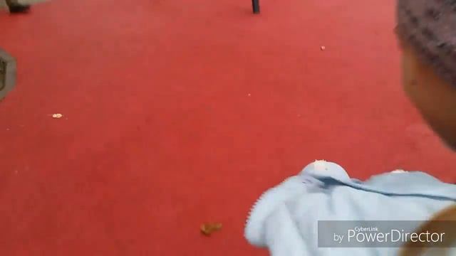 VLOG:Гуляем. Идем в панда парк! смотреть онлайн