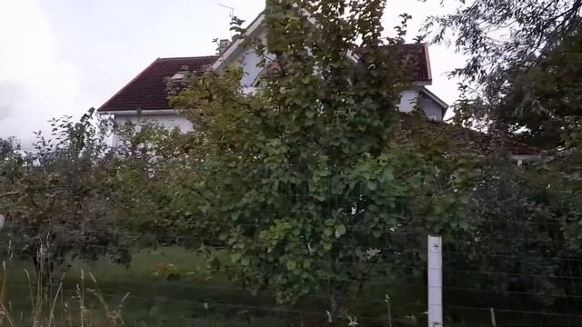 ?? Отдых в Эстонии?? Город HAAPSALU ☀️ Уютный и красивый город?? смотреть онлайн