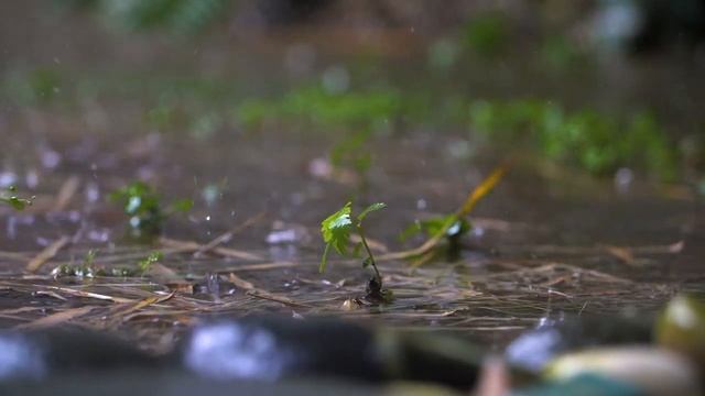 Relaxing ambient music for meditation 2021 ~ Calming music смотреть онлайн