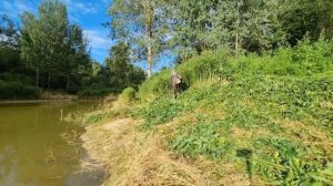 Облагораживание Пруда! Берега