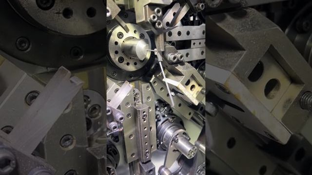coiling spring смотреть онлайн