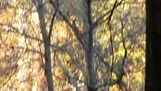 Листопад - в память об ушедших родных и близких смотреть онлайн