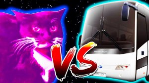 Bus Vs Maxwell Cat Sound Variations in 45 Seconds