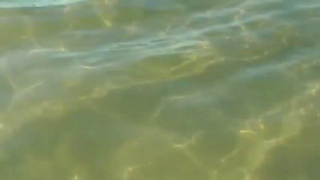 Озеро ВИКТОРИЯ смотреть онлайн