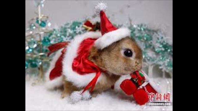 НОВЫЙ 2023 ГОД