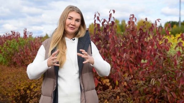 Дерен | Дерен Белый | Дерен Элегантиссима | Дерен Сибирика | Ландшафтный дизайн