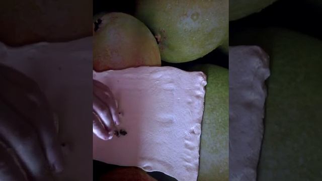 РУЛЕТ с РИСОМ яицами и грибами. смотреть онлайн