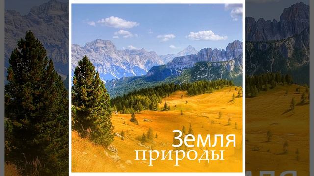 Пробуждение леса смотреть онлайн