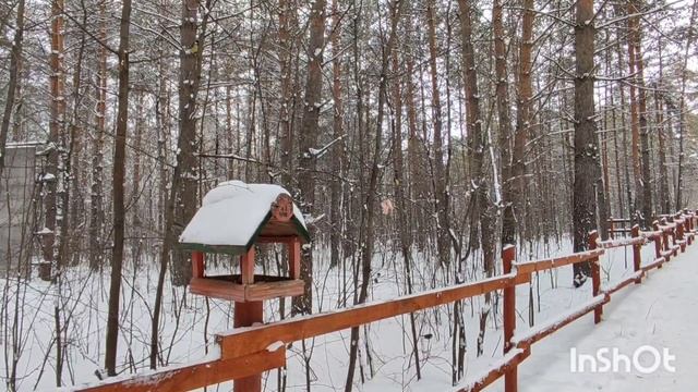 @"Делающий добро"(г... но)! Вынужденный ролик смотреть онлайн