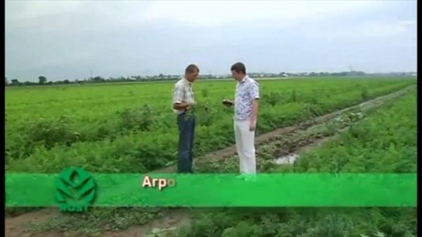 Органо-минеральное удобрение Rost концентрат