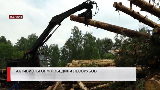 Активисты ОНФ победили лесорубов смотреть онлайн