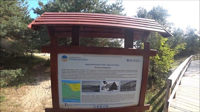 Куршская коса. Самый маленький национальный парк России! Калининградская область. смотреть онлайн