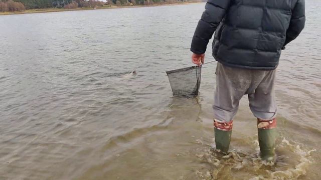 Дениска поймал судачка,можайское вдх. смотреть онлайн