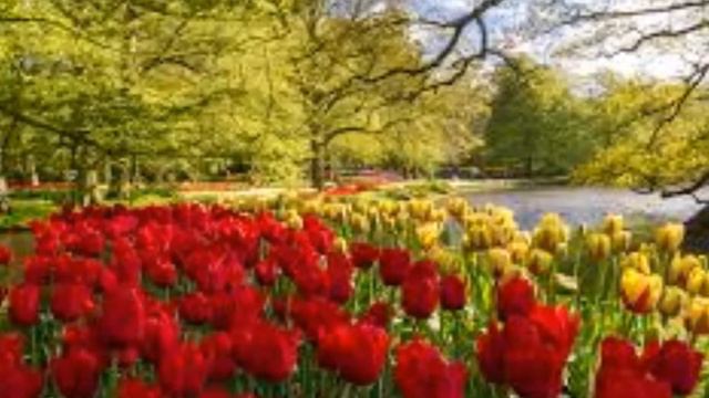 Very beautiful video./Самый красивый клип в мире! смотреть онлайн