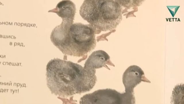 Какие сказки читают пермяки детям? смотреть онлайн