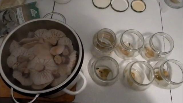 Концервация грибов синеножка смотреть онлайн