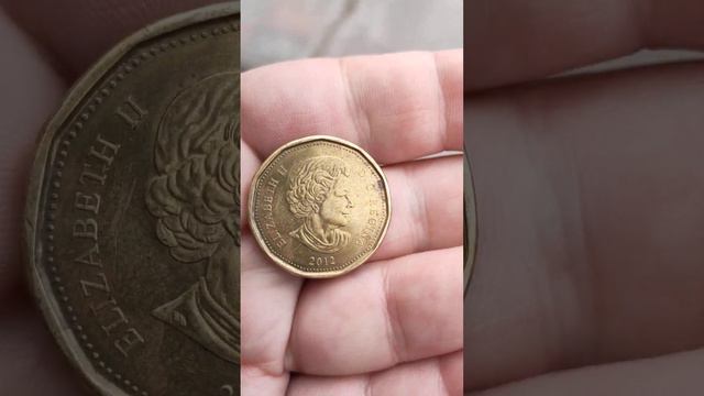 Канадский доллар с оттиском кленового листа на лицевой части. смотреть онлайн