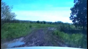 деревня Калитино, Сокольский район, Вологодская область