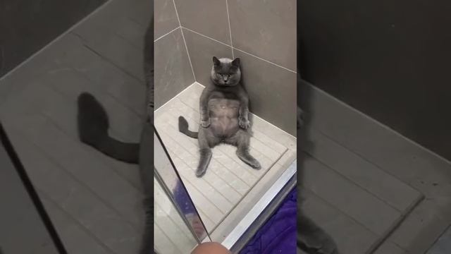 Передаёт привет ) смотреть онлайн