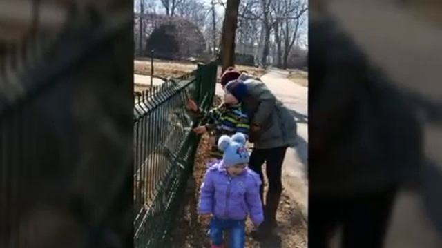 ZOO!!!!!!!!!! Калининградский зоопарк! Весна 2018!!! смотреть онлайн