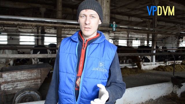 Инструмент для диагностики метрита (Метритест).Tool for the diagnosis of metritis (Metritest). смотреть онлайн