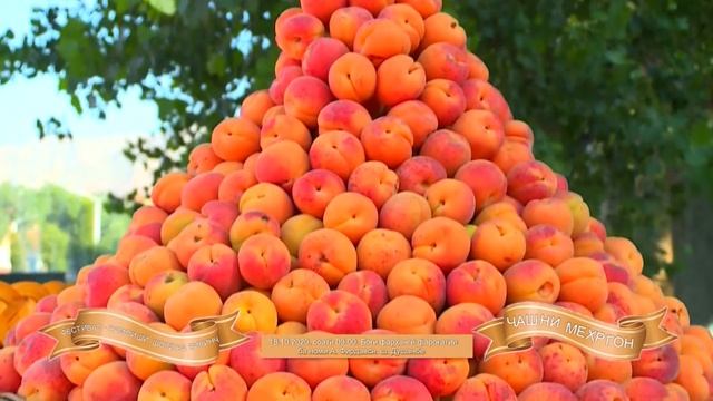 ЧАШНИ МЕХРГОН  2020  Праздник Мехргон  Нацсиональный праздник таджиков Мехргона 2020