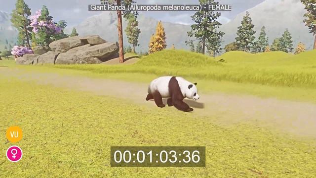 Male Panda vs Female Panda speed Race in Planet Zoo смотреть онлайн