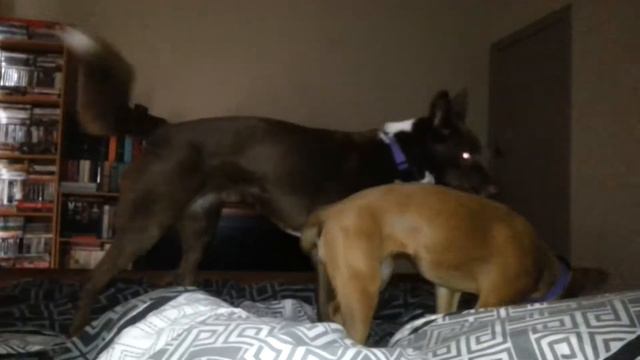 Charlie & Samara - Play time смотреть онлайн