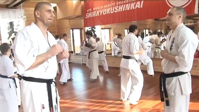 Roman Nesterenko - Best Technics Karate Kyokushinkai