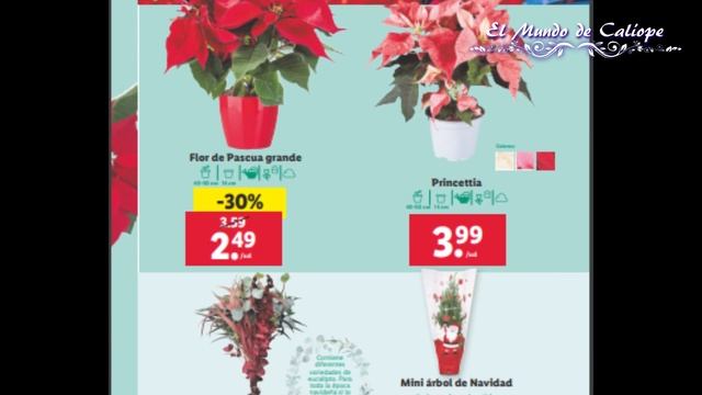 ?LIDL OFERTAS de esta SEMANA | Folleto semanal 1 al 4 DICIEMBRE 2022 смотреть онлайн