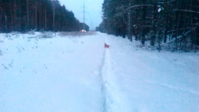 Учим команду рядом смотреть онлайн