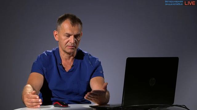 Как стать ветеринарным врачом смотреть онлайн