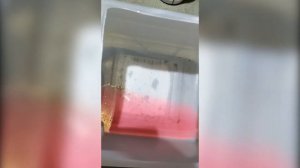 Замена патрубков и заправка системы охлаждения на Opel Astra H