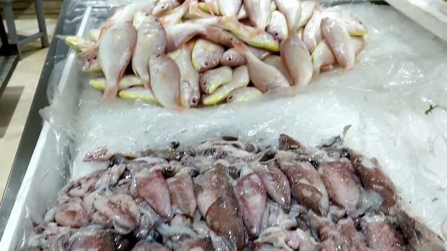 Dubai Fish Market|Deira Fish Market|Waterfront Market Fish Market|Cleanest Fish Market, Dubai, UAE смотреть онлайн