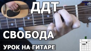 Как играть ДДТ - Я еду к тебе (свобода) на гитаре | Видео урок