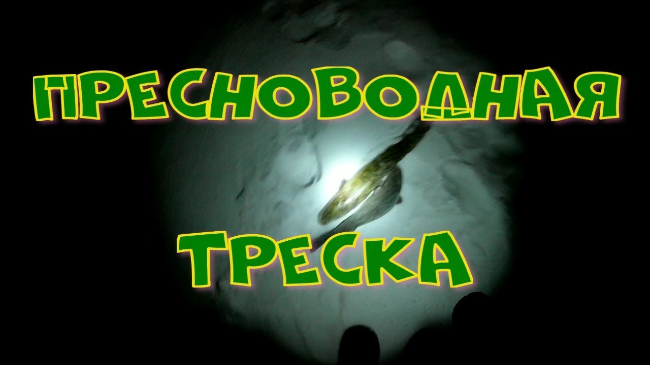 Пресноводная ТРЕСКА.mp4 смотреть онлайн