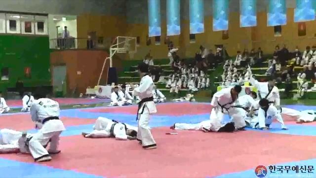 TRIBUTE THE KOREA HAPKIDO FEDERATION!!!