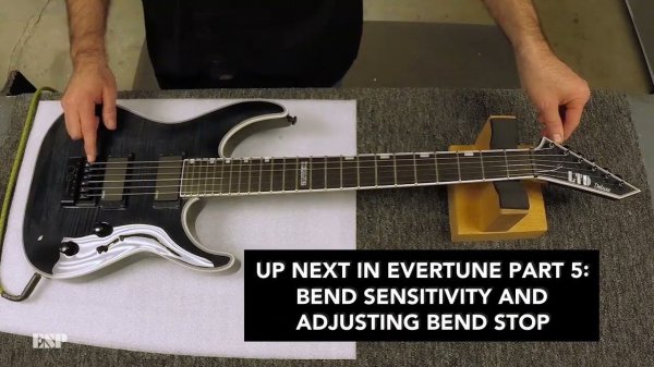 ESP Evertune Bridge