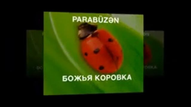 Слова на азербайджанском языке которые редко используются смотреть онлайн