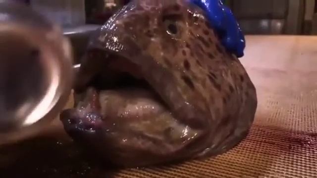 Палец в рот не клади смотреть онлайн